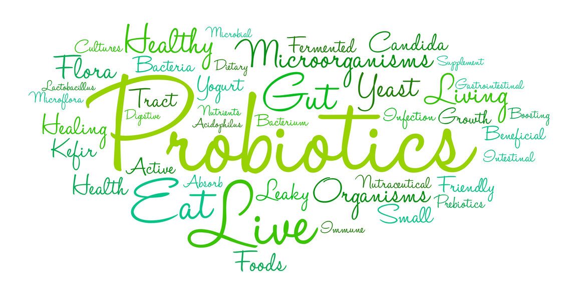 Probiotics Word Cloud Probiotics Word Cloud